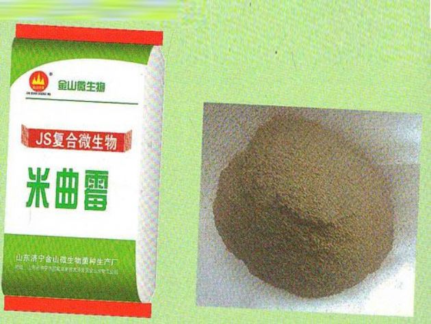 點(diǎn)擊查看詳細(xì)信息<br>標(biāo)題：米曲霉 閱讀次數(shù)：2433